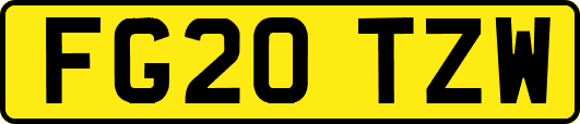 FG20TZW