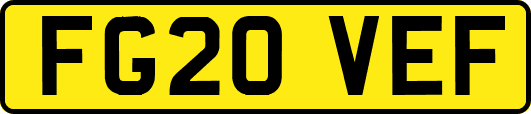 FG20VEF