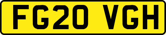 FG20VGH