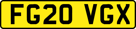 FG20VGX
