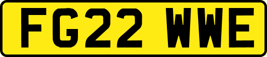 FG22WWE