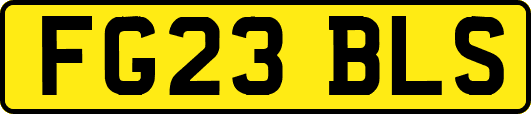 FG23BLS