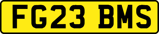 FG23BMS