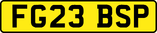 FG23BSP