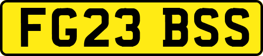FG23BSS