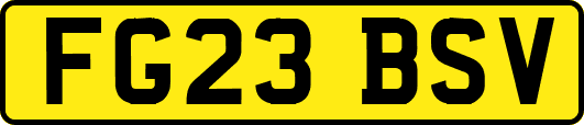 FG23BSV