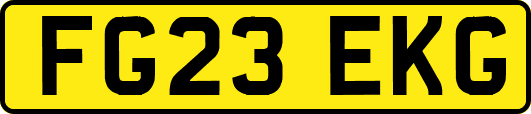 FG23EKG