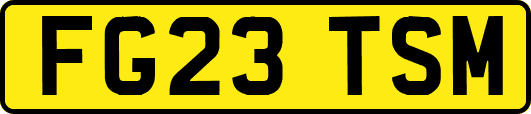 FG23TSM