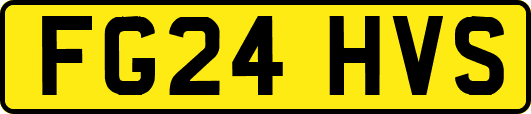 FG24HVS