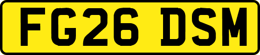 FG26DSM