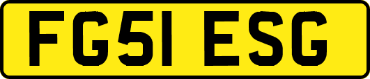 FG51ESG