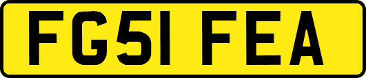 FG51FEA