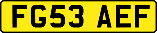 FG53AEF