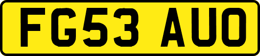 FG53AUO