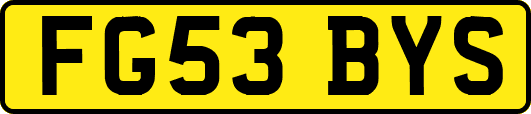 FG53BYS
