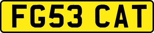 FG53CAT