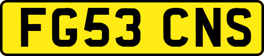 FG53CNS