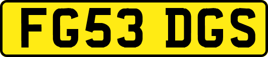 FG53DGS