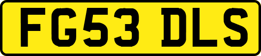 FG53DLS
