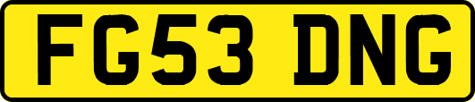 FG53DNG