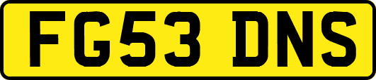 FG53DNS