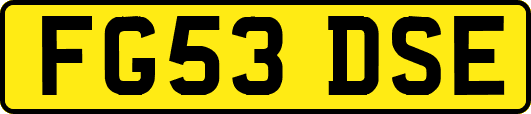 FG53DSE