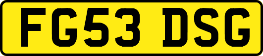 FG53DSG