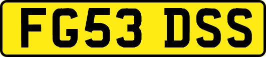 FG53DSS