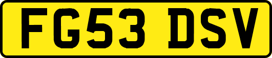 FG53DSV