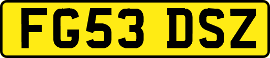 FG53DSZ