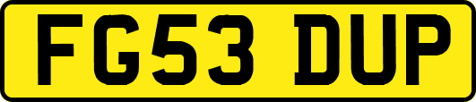 FG53DUP