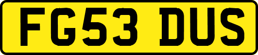 FG53DUS