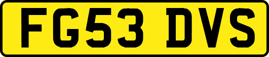 FG53DVS
