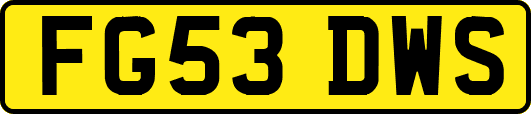 FG53DWS