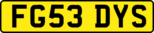 FG53DYS