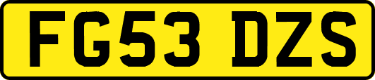 FG53DZS