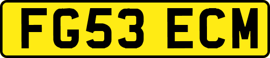 FG53ECM