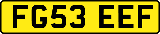 FG53EEF