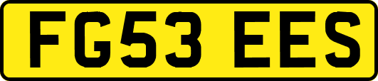 FG53EES
