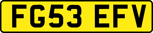 FG53EFV