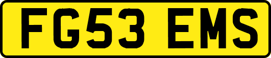 FG53EMS