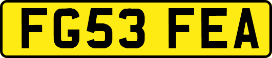FG53FEA