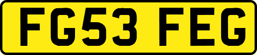 FG53FEG