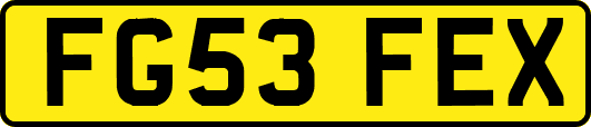 FG53FEX