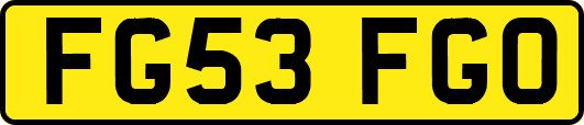 FG53FGO