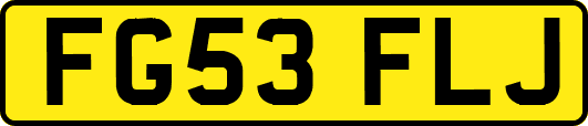 FG53FLJ