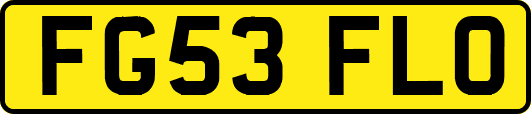 FG53FLO