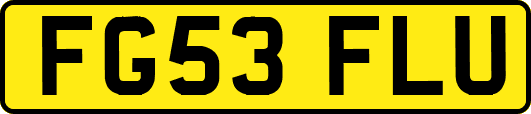 FG53FLU