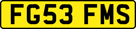 FG53FMS