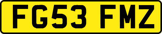 FG53FMZ